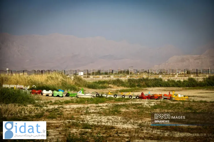 مرگ+سراب+نیلوفر+کرمانشاه (5)